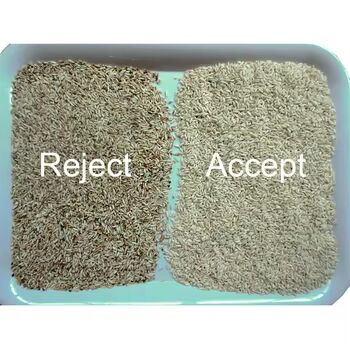 Высокоточный сортировщик цвета зерна с выходом 3-8TPH и точностью сортировки ≥99,99% для риса гречиха киноа пшеница millet