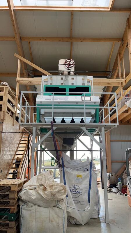 Вэньяо 5-канальный интеллектуальный оптический сортировщик, автоматическая машина для сортировки грецких орехов по цвету, машина для сортировки ядер и скорлупы кедровых орехов по цвету