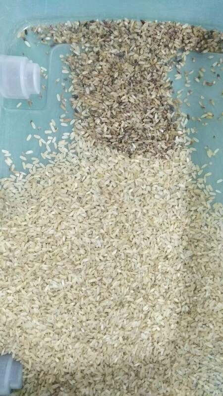 WENYAO Интеллектуальная 4-х штурмовик оптический сортировщик цвета зерна высокая точность и 2,-4 T / H мощность рисовой пшеницы сортировщик