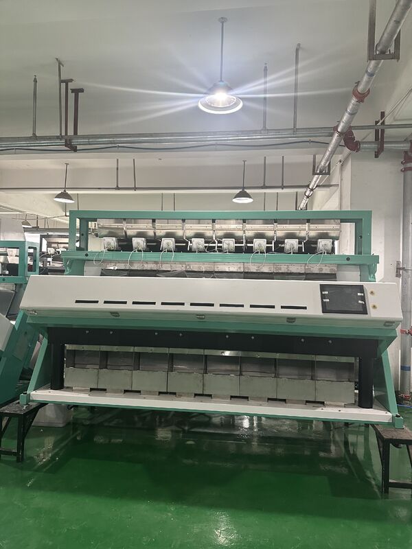 Сертификат CE Автоматический зерновой оптический цветосортировщик Черные бобы Кофейные бобы Линзы Цветосортировочная машина для продажи 2026