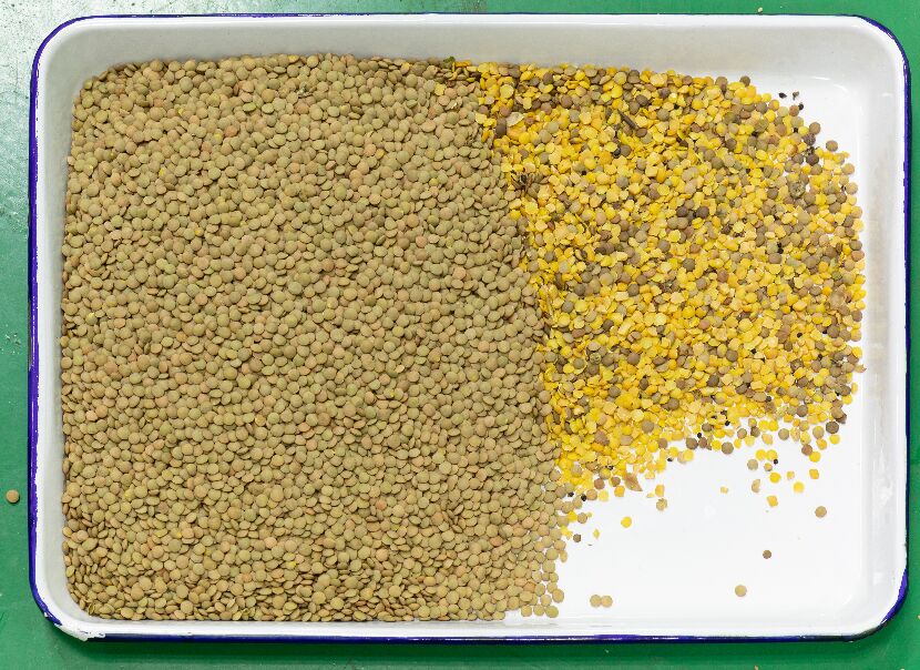 Сертификат CE Автоматический зерновой оптический цветосортировщик Черные бобы Кофейные бобы Линзы Цветосортировочная машина для продажи 2026