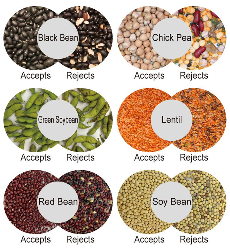 WENYAO Coffee Bean Sorting Machine AI Color & Shape Sorter 99,99% Точность 2500-8000kg/h Мощность высокая чистота 2-летняя гарантия