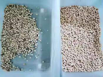 High Accuracy Rice Color Sorter  Grain Separator Machine Millet  Wheat Corn Kernels  Quinoa Maize Shape Separator