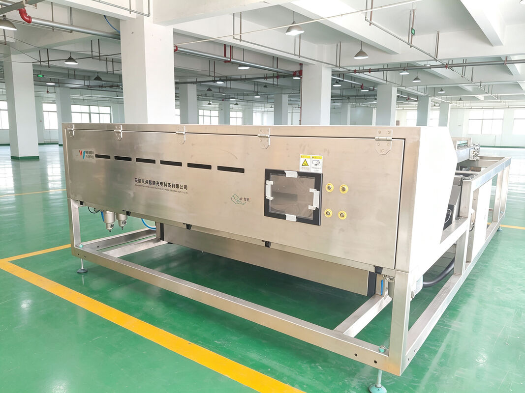 Dried Kiwi Sorting Machine Dried Banana Color Sorter Dried Frozen  Strawberry Sorting  Machine