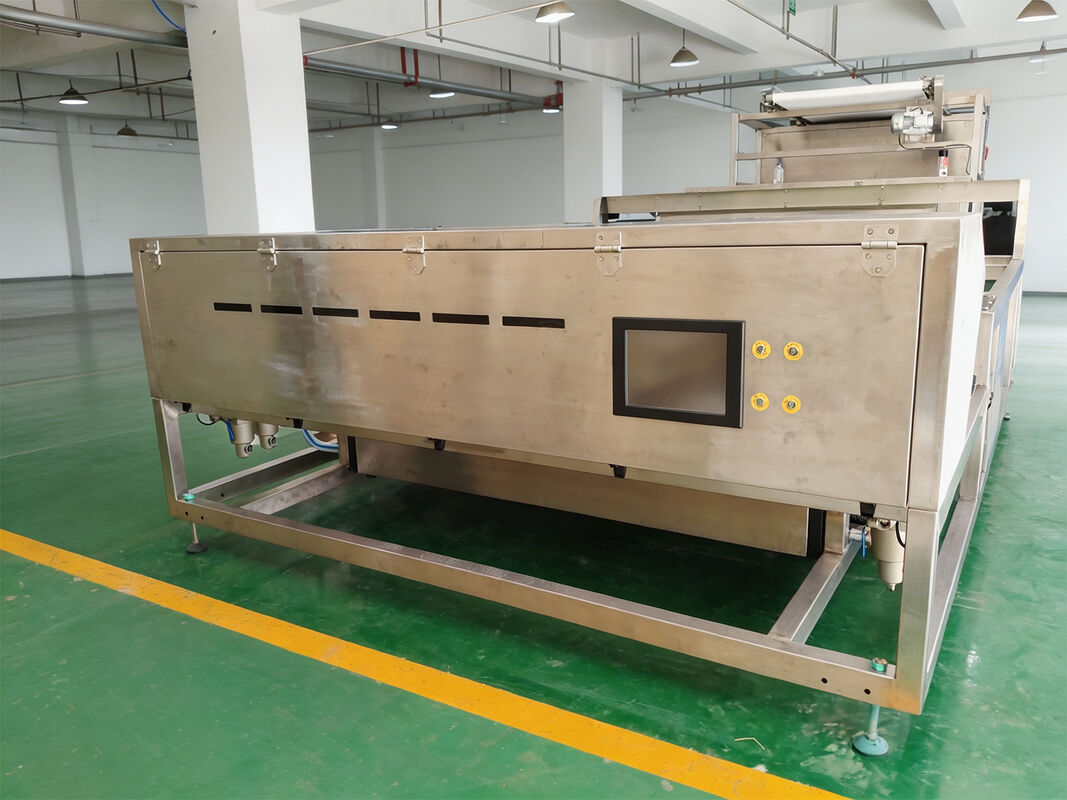 Quartz/Silica Powder Color Sorter Machine Light-colored Flakes Sorting Machine