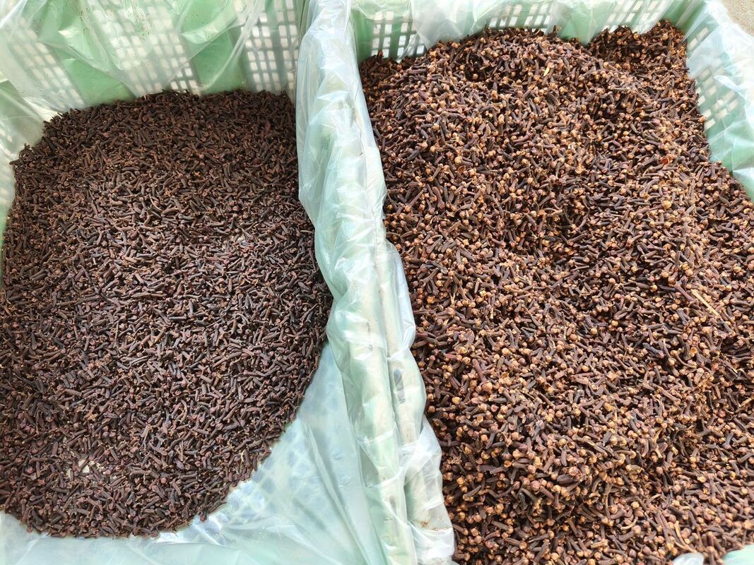 AI Cloves Color Sorting Machine Headless  Cloves Machine With Deep Learning Shape Sorter Machine