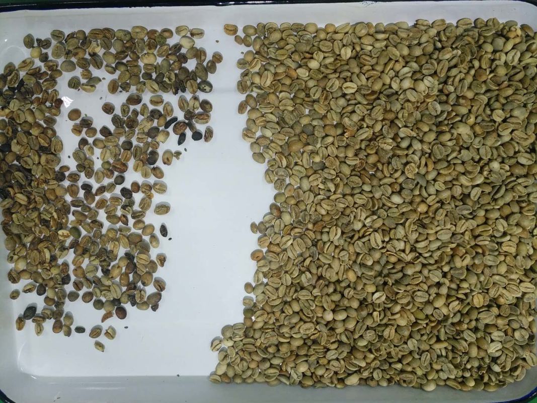 4 парашюта 256 направляют машину сортировщицы цвета кофе для дистанционного управления Wifi фасолей