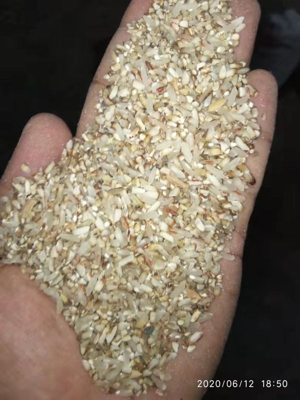 4000kg/H проварило слегка машины сортировщицы цвета риса свет СИД продолжительности жизни мини длинный