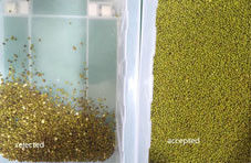 Соевые бобы цветосортировщик пуль сортировщик селекторная машина зеленые бобы черные сохум семена очистное оборудование