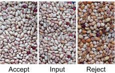 Соевые бобы цветосортировщик пуль сортировщик селекторная машина зеленые бобы черные сохум семена очистное оборудование