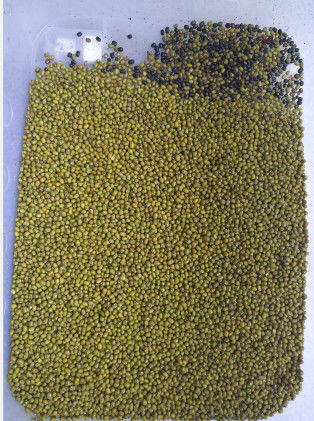 Полностью автоматический сортировщик цвета соевых бобов / красных бобов / мунгов / кофе