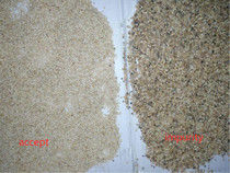 Сортировщик цветов WENYAO Seed с 5400 пикселями CCD и точностью 99%