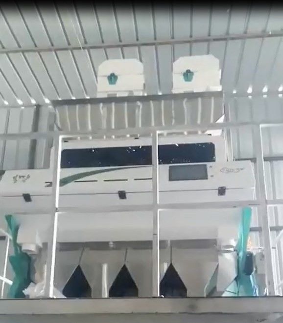 CCD 2t/h Тошиба сортировщицы цвета зерна парашютов хлопьев 4 сельскохозяйственной техники
