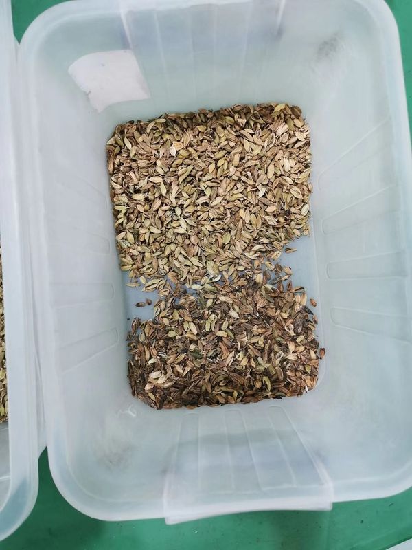 Аграрная машина /Cardamom сортировщицы цвета кардамона оборудований отделяя машину