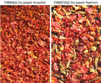 Wenyao Chute Type AI Interliligent Сухой чили сортировка Красный чили Сепарация Функция самоочистки Цветосортировщик