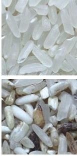 Легкая в эксплуатации машина для сортировки кофейных цветов с нержавеющей 304 пищевой сортировкой