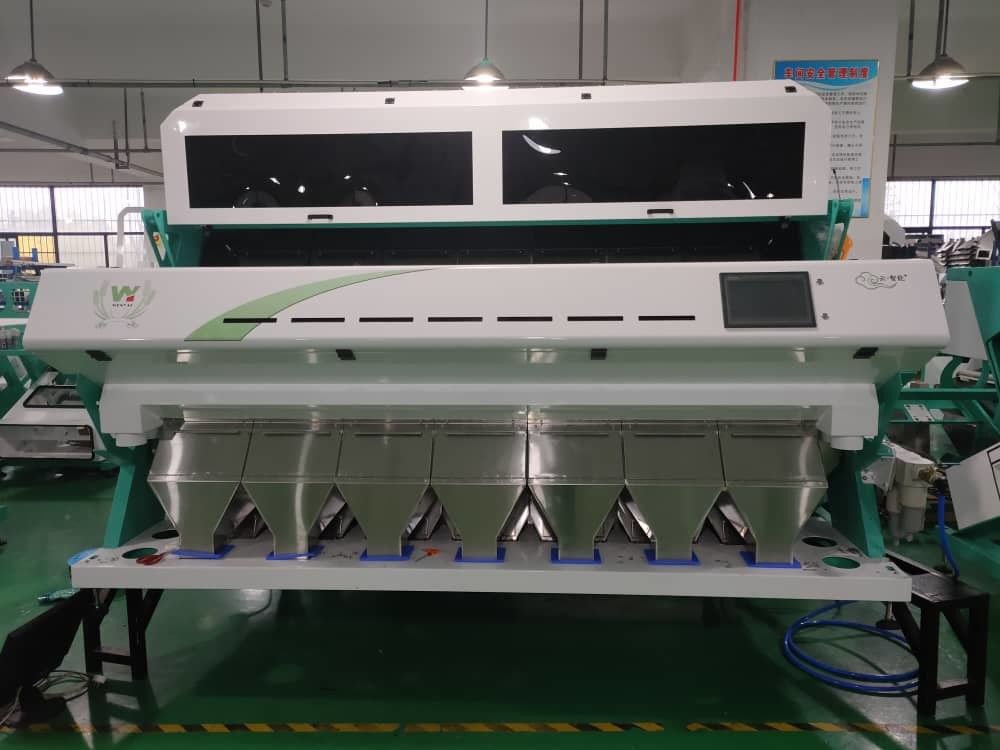 Оптически сортировщица 7000kg/h цвета пшеницы RGB с 2 камерами CCD