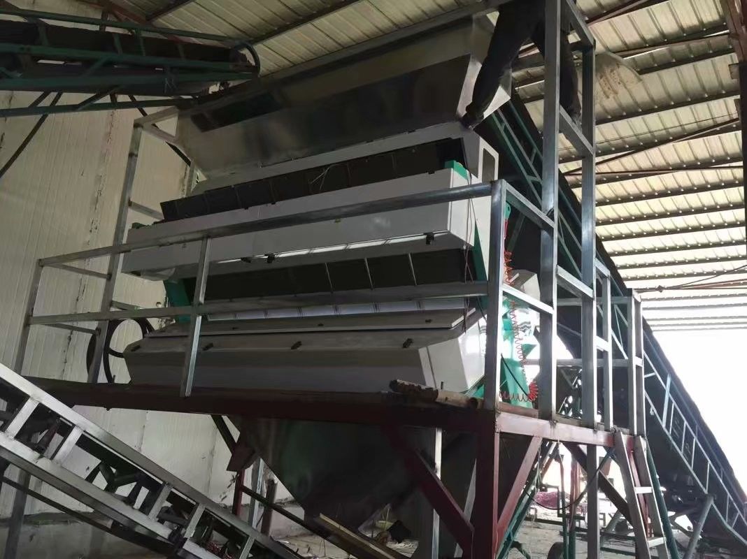 Оптически сортировщица 7000kg/h цвета пшеницы RGB с 2 камерами CCD