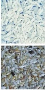 Легкая в эксплуатации машина для сортировки кофейных цветов с нержавеющей 304 пищевой сортировкой