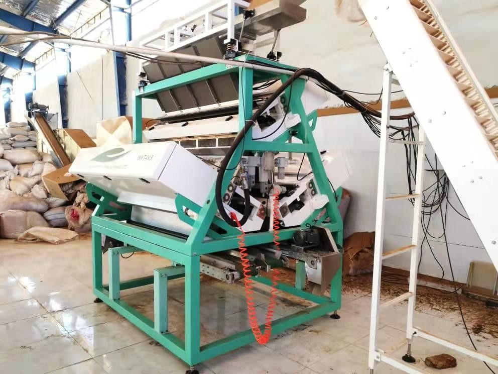 Машина сортировщицы цвета черного чая зеленого чая с камерой Ccd