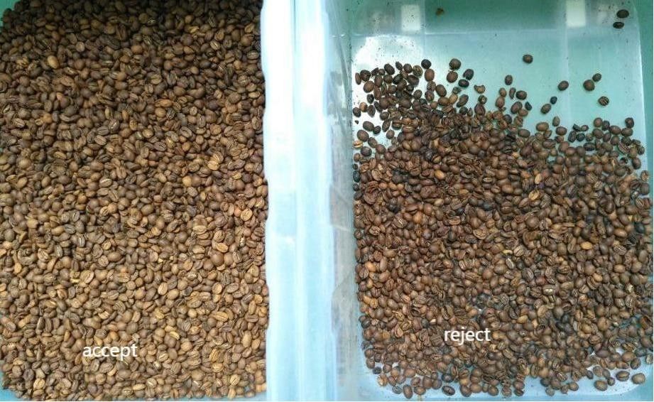 Сортировка цвета зеленых кофейных бобов Mini Roasted Raw Coffee Color Sorter