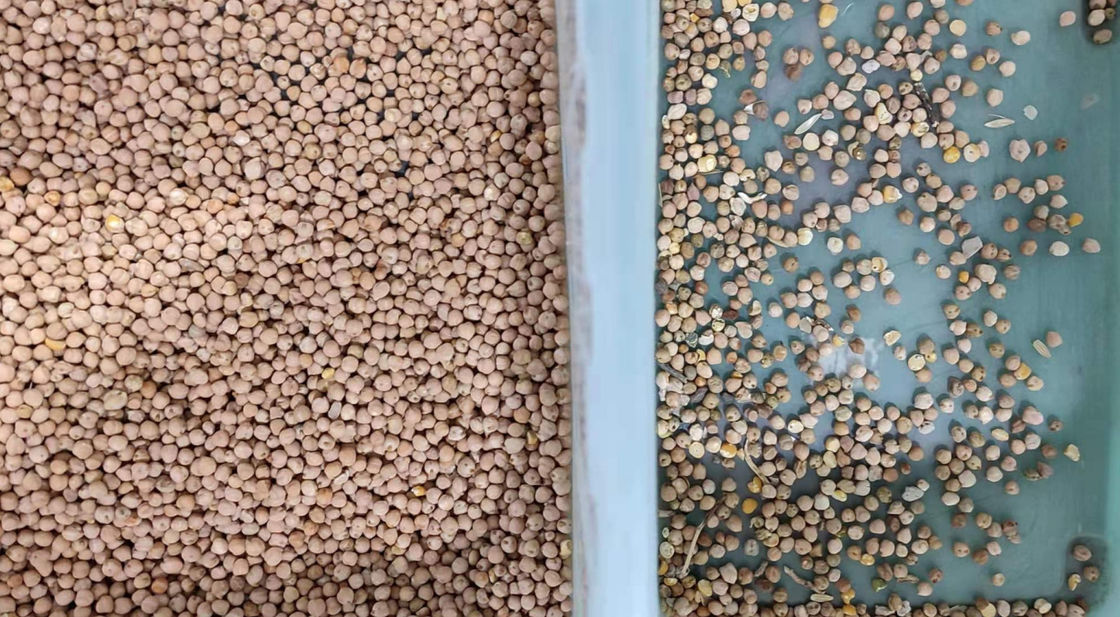 фасоли 800kg/H красят сортировщицу с камерой CCD разрешения 5400 пикселов высокой