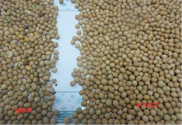 Тошиба HD отображая машина сортировщицы цвета для соь 3000kg/H