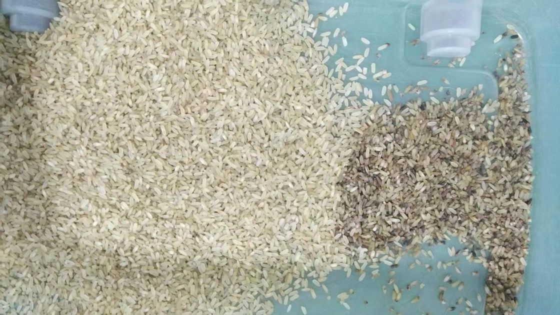 Каналы сортируя машины 32 цвета риса CCD мини Брауна