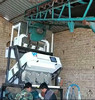 Wenyao Small Grain Color Sorter For Sale Peanut Seed Color Price Sorting Machine Color Sorter Производитель цветовой сортировки