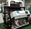 Wenyao Small Grain Color Sorter For Sale Peanut Seed Color Price Sorting Machine Color Sorter Производитель цветовой сортировки