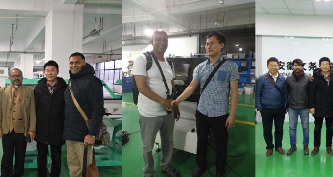 100-900KG/H Сортировка машинного цвета для ореха макадамии 8