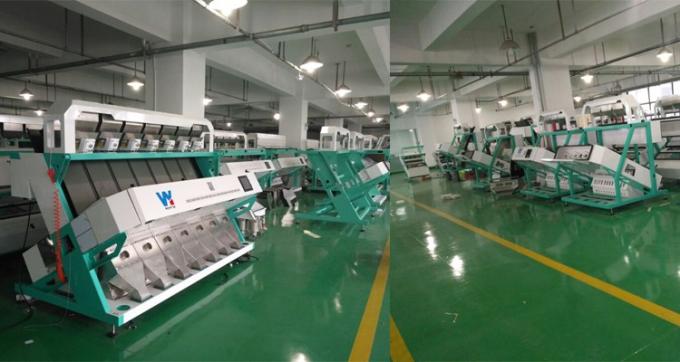 100-900KG/H Сортировка машинного цвета для ореха макадамии 7