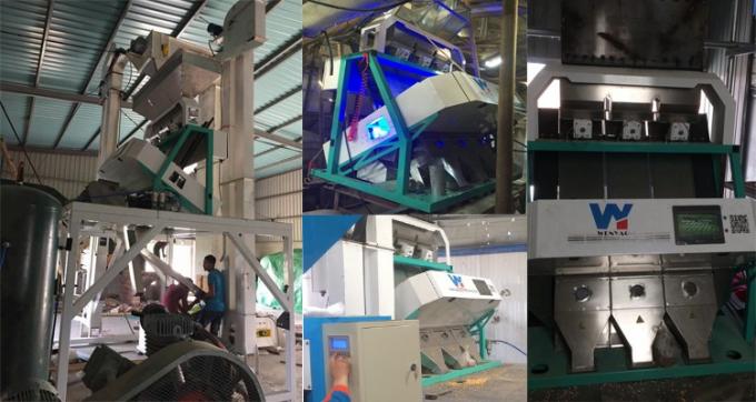 220В / 50Гц Вэньяо цветосортировщик для кофейных бобов вишни 12