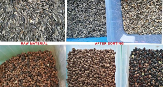 220В / 50Гц Вэньяо цветосортировщик для кофейных бобов вишни 5