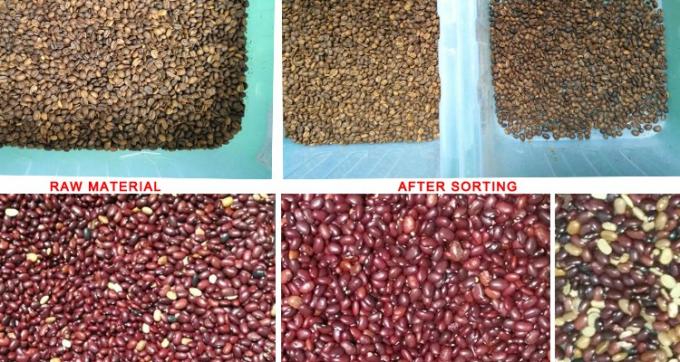 220В / 50Гц Вэньяо цветосортировщик для кофейных бобов вишни 6