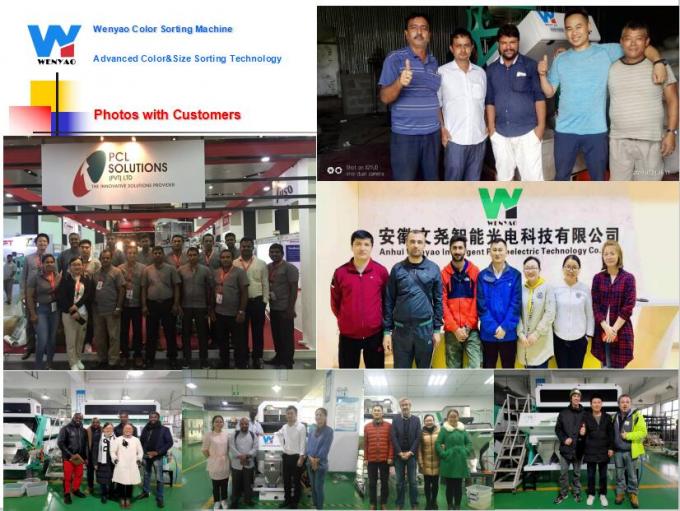 6 Шлюха Интеллектуальная оптическая камера CCD ПЭТ ПВХ ПВХ ПЛАСТИЧЕСКИЙ ЦВОРНЫЙ СОРТЕР 12