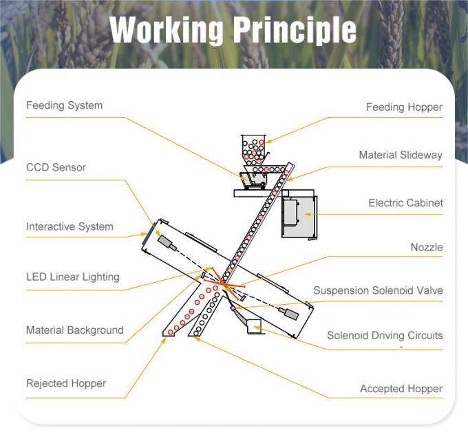 Wenyao Optical Small Color Sorter Солнцеватое семя цветовой сортировщик / сортировочная машина цветовой сортировщик Солнцеватое семя цветовой сортировщик 7