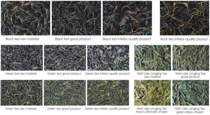 Устройство для сортировки зеленого чая, оборудование для обработки чайных листьев. 2