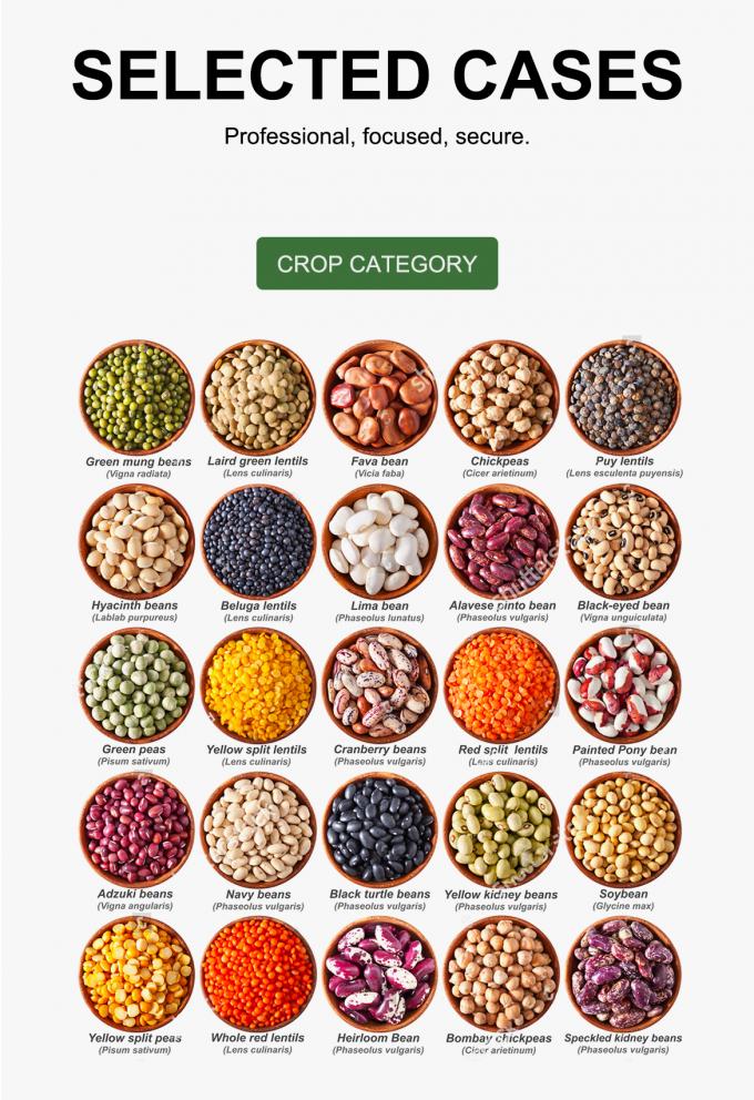 Высокоскоростная цветная сортировочная машина CCD-камеры для производства арахиса, оптический сортировщик цвета 9