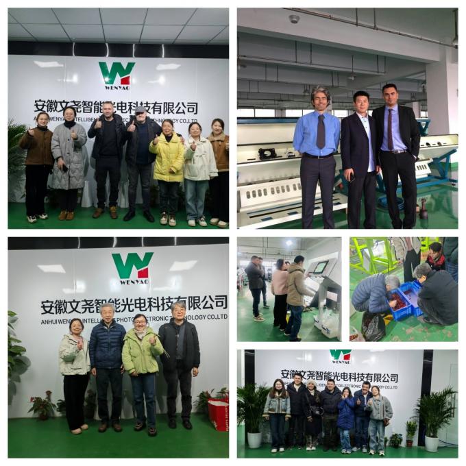 Точность Персиковая жевательная сепаратор Арабский олибанум жевательная машина для сортировки цвета 19