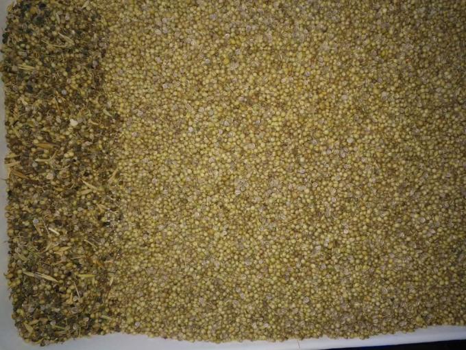 Маленький оптический сортировщик цветов семян с хорошей производительностью 3