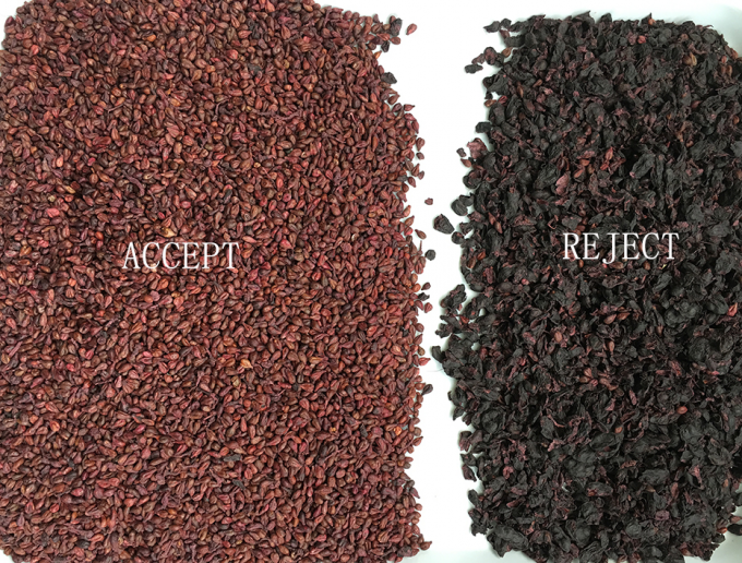 320-канальный оптический цветосортировщик CCD Машина для сортировки цветов из розария с сертификацией CE 2