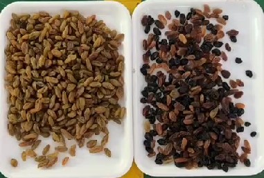 320-канальный оптический цветосортировщик CCD Машина для сортировки цветов из розария с сертификацией CE 3