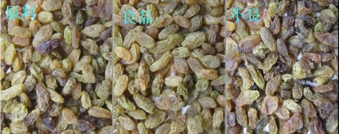 320-канальный оптический цветосортировщик CCD Машина для сортировки цветов из розария с сертификацией CE 4