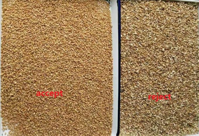 Высокоскоростная самоочистка для зерна, риса, зерновых сортировочных операций, цветосортировочная машина 0