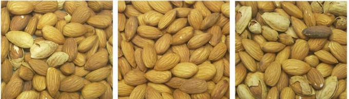 ИИ-обучение Интеллектуальный ремень стиль арахисовый леденец Писташиновые орехи Цветосортирующая машина 13