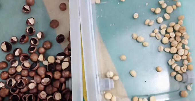 ИИ-обучение Интеллектуальный ремень стиль арахисовый леденец Писташиновые орехи Цветосортирующая машина 14