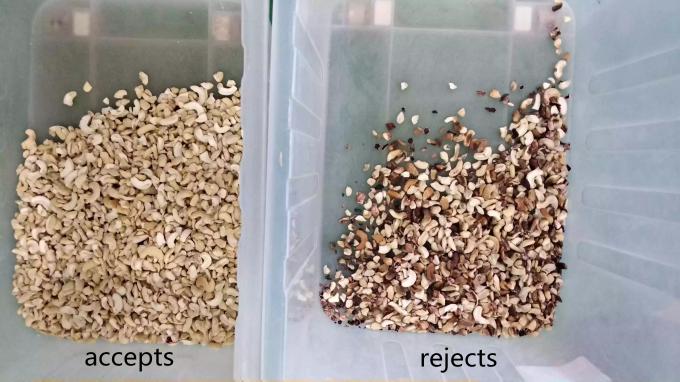 Интеллектуальная машина для сортировки цветов кешью с сенсором Toshiba CCD и RGB-камерой 6