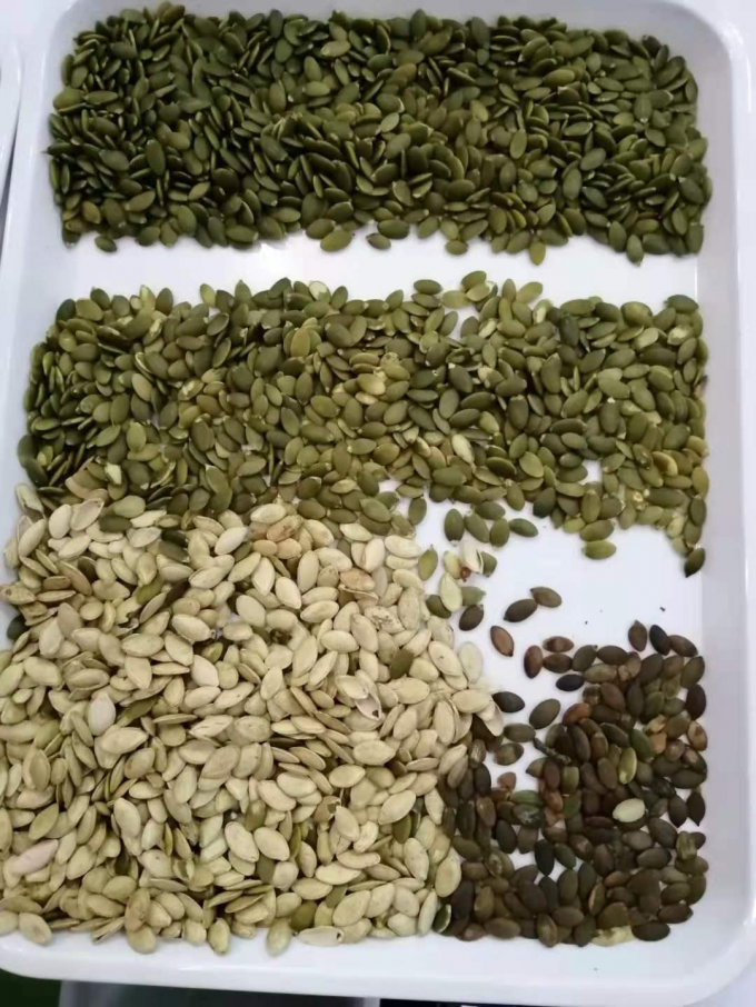 Wenyao Новейший оптический сертификат CE Тыквенные семена Арбузные семена Цветосортирующая машина 11