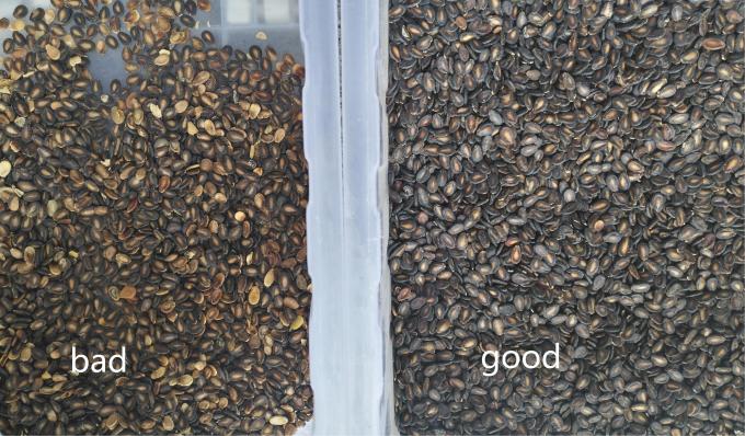 Wenyao Новейший оптический сертификат CE Тыквенные семена Арбузные семена Цветосортирующая машина 12